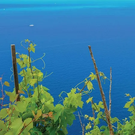 Two-bedroom Holiday In Trstenik *